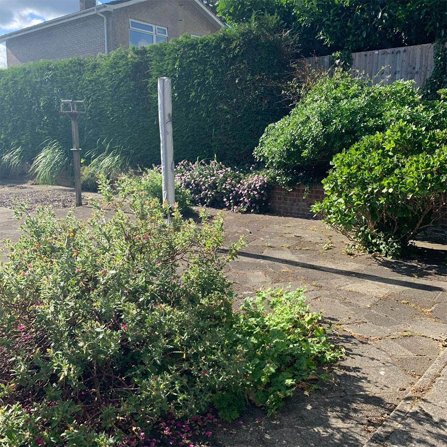 Rear Garden Farnham Common, Buckinghamshire Tigerus